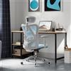 SIHOO M18 Sedia Ufficio ergonomica,Sedia scrivania, con Supporto Lombare per Poggiatesta e Bracciolo Regolabile,Schienale Alto in Rete,Portata Massima 150 kg(azzurro chiaro)