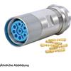 Hummel SET HUMMEL incl. contatti M23 Potenza INOX Connettore per cavo Inserto a crimpare diritto Numero di poli 10 poli, presa