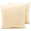BIANCHERIAWEB Coppia Cuscini Arredo Imbottiti Tessuto Ottoman in Tinta Unita Colore Beige 02 50x50 Beige 02