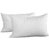 EVERGREENWEB MATERASSI & BEDS EVERGREENWEB Coppia Cuscini 40x70 alti 12cm in Memory Foam da Letto o Arredo Divano Sofa Imbottitura 100% Fiocco Morbida effetto Piuma Indeformabile Traspirante Anallergico 2 Guanciali OFFERTA PRIME