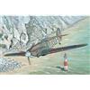 Hobbyboss 1/48 Hurricane Mk 1, colore stampato
