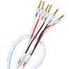 SUPRA CABLES SUPRA RONDO 4x4.0 COMBICON BI-WIRE 2X2M COPPIA CAVI PER DIFFUSORI NUOVI