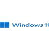 Microsoft WIN 11 PRO 64BIT ENG 1PK DSP OEI DVD