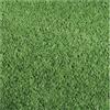 Verdelook Prato verde, rotolo 25x h 200