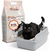 Avilia Lettiera Vegetale per Gatti 6L in Pellet 2mm Senza Polvere - Alta Assorbenza Anti Odore, Biodegradabile e Solubile in WC, Formula 4+2L Omaggio