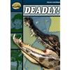 Helen Chapman Rapid Reading: Deadly (Stage 6 Level 6B) (Tascabile) Rapid
