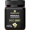 Watson & Son miele di manuka MGO 800+ 250g | Qualità Premium certificata dalla Nuova Zelanda | puro e naturale