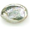 BFZOO 1 x Ciotola colorata Abalone da 10,2 - 11,4 cm, naturale per bruciare salvia e incenso, conchiglia per spalmare decorazioni ed esposizioni, porta bastoncini di incenso, grande