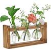 NOLACE Stazione di Propagazione Piante Vaso Idroponica con Supporto in Legno Vintage (3 Ampolle) Terrario in Vetro per Talee, Avocado e Decorazione Casa (Idee Regalo)
