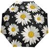 HMZXZ RXYY - Ombrello da pioggia leggero da viaggio, con motivo floreale e margherite, colore bianco, a pois, pieghevole, apertura automatica, per donne, uomini, ragazzi, ragazze, antivento, compatto, da