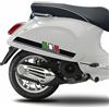 Generico Kit 2 adesivi decal stickers fascia vintage TRICOLORE ITALIA compatibili con PIAGGIO VESPA PRIMAVERA LIVERY scegli colore Cod. 2013 (070 Nero)