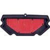 Road Passion Filtri Aria 11013-0713 Compatibile con Kawasaki ER-6f EX·650 A.BS 2012-2016 / ER-6n ER650 2012-2016 / EX650 Ninja 650 AB.S 2013-2016 / ER-6F EX-650 ABS 2012 2013 2014 2015 2016