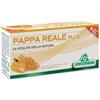 Specchiasol PAPPA REALE PLUS 12FLX10ML