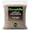CLOROPHILLA Lapillo Vulcanico 0-3 mm Naturale - Inerte per Drenaggio, Substrati e Top Dressing - Origine Italiana - Ideale per Cactus, Succulente e Bonsai (25L)