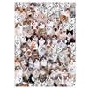 EACHHAHA 1000 Pezzi Puzzle-Puzzle in Cartone- Giochi Puzzle Relax-rompicapo Puzzle-Mondo dei Gatti (70x50 cm / 27,5x19,7 Pollici) per Bambini e Adulti Regali