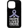 Stomach Cancer Warrior Gifts for Women a Custodia per iPhone 13 Pro Consapevolezza del cancro allo stomaco Pervinca Novembre Cancro allo stomaco