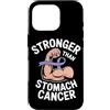 Stomach Cancer Warrior Gifts for Women a Custodia per iPhone 16 Pro Consapevolezza del cancro allo stomaco Pervinca Novembre Cancro allo stomaco