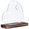 F Fityle Vaso in cristallo borosilicato con base in legno, decorativo in stile moderno nordico, ideale per la coltivazione acquatica, a forma di cuore, perfetto per soggiorno, tavolo e camera da letto.