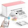 Phomemo Stampante per etichette Bluetooth, PM241BT stampante termica DHL 4XL per Mac/PC, stampante Bluetooth per codici a barre, Amazon, Etsy, Shopify, Royal Mail, DHL, FedEx, UPS