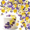 Floruvia 40 Pezzi 8 Tipi di Fiori Naturali Essiccati, per Decorazioni di Torte, Mix di Viole del Pensiero per Cocktail, Lavori di Artigianato Fai-da-Te