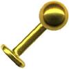 Generisch Labret Piercing 46014-8 - Piercing per labbro, in vero oro giallo 585, dimensioni: 1,2 x 8 mm, 1,2 x 8 mm, Oro giallo 585