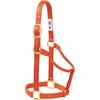 Weaver Equine Weaver Leather Cavezza per Cavallo in Nylon, Non Regolabile, Piccola, Arancione