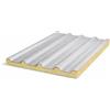 Lemag srl Lastra Coibentata Grecata 100x50 cm Spessore 3 cm - Pannello per Copertura e Tettoie, Isolante Termico, Facile da Installare, Ideale per Box e Verande - LEMAG SRL
