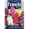 Franchi Sementi Semi Violacciocca a Fiori Doppi Mix Franchi Sementi 0,6g