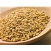 Generic 100 graines de FIENO GREC (Trigonella Foenum-Graecum) H471 GRAINES DE FENUGREC GRAINES