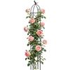 Generico Traliccio per Piante in Vaso,Struttura Decorativa Antiruggine - Paletti di Supporto per Piante | per Ortaggi Cetriolo Frutta Uva Rosa Clematide Interno Giardino Cortile