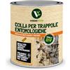 Generico Colla Pennellabile per Insetti 750ml, Made in Italy - Colla per Trappole Cromotropiche Mosche e Insetti Volanti - Adesivo per Frutteto, Orto e Piante - Rimedio Insetti Striscianti e Giardino