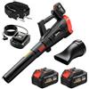 Outsunny Soffiatore a Batteria 18V, Soffiatore Foglie con 2 Batteria 4Ah, Motore Brushless 600W, 3 Livelli Velocità 149 km/h, Turbo Boost, 2 Tubi, Caricabatterie, per Giardino Foglie Neve Polvere