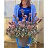 POWERS TO FLOWERS - ABELIA VARIEGATA A FIORE BIANCO XXL, vaso 22 cm diametro, pianta vera