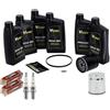 Generico Kit Tagliando Compatibile Con Harley-Davidson Dyna, Street Bob, Fat Bob, Switchback - Olio Motore 20W50, Candele, Filtro Olio - Manutenzione Completa, Prestazioni Ottimali