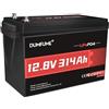 Dumfume Batteria LiFePO4 12V 300Ah (314Ah), Batteria Litio Solare con BMS 200A 4019Wh,per Camper Roulotte Impianti Off-grid con Protezione Bassa Temperatura