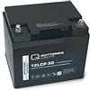 Q-Batteries Longex - Batteria solare 12LCP-50/12 V - 50 Ah al piombo, tipo ciclo, AGM - Deep Cycle