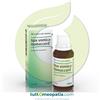 Heel GUNA HEEL NUX VOMICA HOMACCORD GOCCE 30 ML