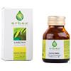 ERBEX GARCINIA 100CAPSULE 430MG - ERBEX - 902193200