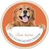 Generic Balsamo Naso Cane,Crema Nasale Vegetale per Cani | Crema Nasale per Cani, Umidificatore Nasale Naturale Sicuro da Leccare, Prevenzione, Crepe E Croccanti Naso del Cane