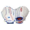 Rawlings Guanti e guanti da baseball