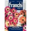 Franchi Sementi Semi Mesembriantemo Multicolor Fiori Franchi Sementi 2g
