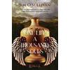 Jim O'Sullivan One Life - A Thousand Souls (Tascabile)