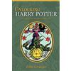 John Granger Unlocking Harry Potter (Tascabile)