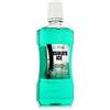 Zidac Laboratories Absolute Ice Freshmint Mouthwash 500 ml