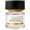 BMW Fragrances Amberness Eau de Parfum 100 ml