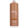 Paul Mitchell Color Protect Conditioner 1000 ml