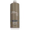 Paul Mitchell Classic Awapuhi Conditioner 1000 ml