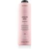 Lakme Teknia Color Stay Shampoo 1000 ml