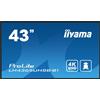iiyama 43 3840x2160, UHD IPS panel, LH4365UHSB-B1