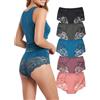 Hialegion Sous-vêtements pour Femmes Dentelle Culotte Hipster pour Femmes en Dentelle Florale Sous-vêtements Grande Taille 1XL